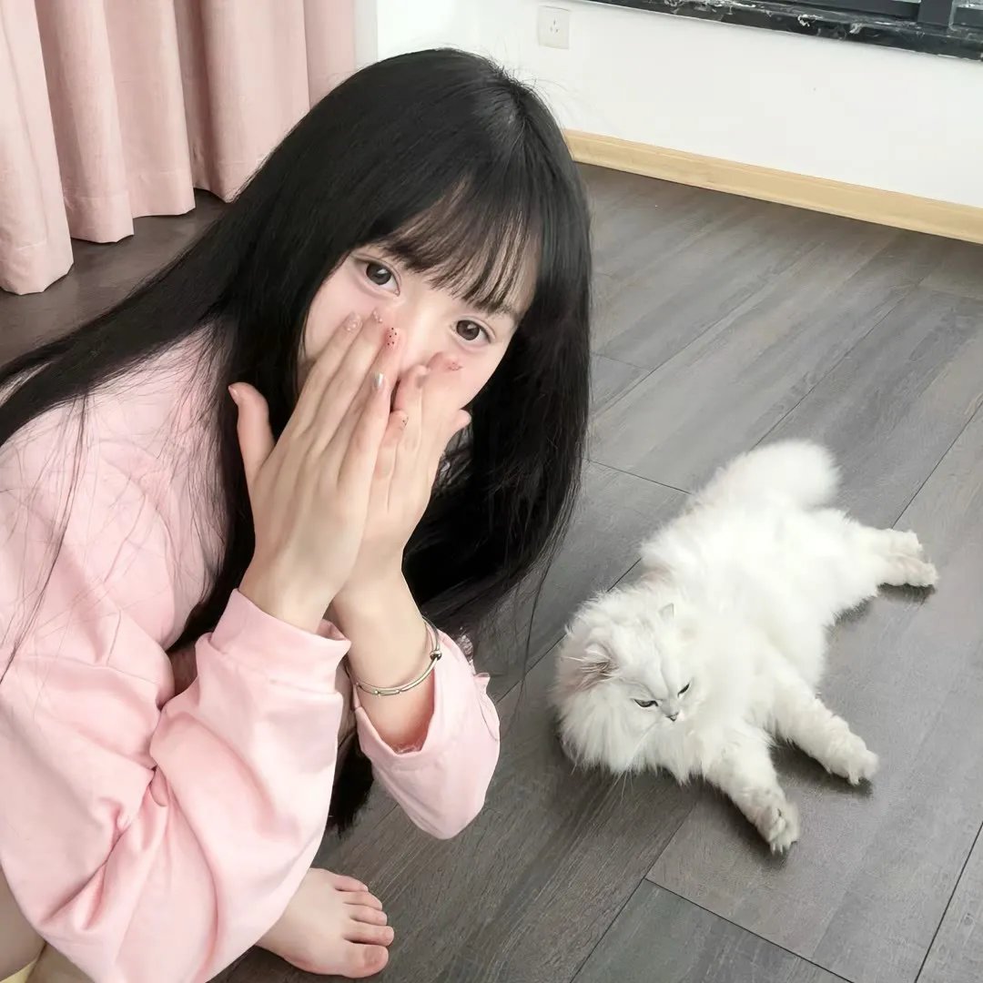 杀手寓言动画版